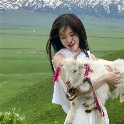 神龙剑侠美人恩