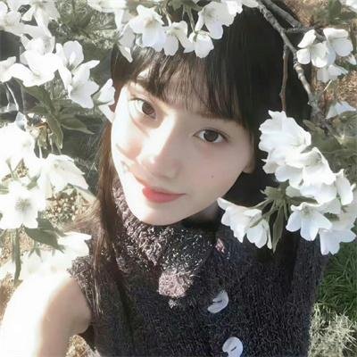 来生预习曲